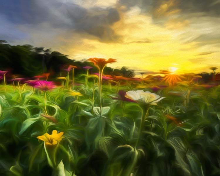 FLOWERS_AT_SUNSET