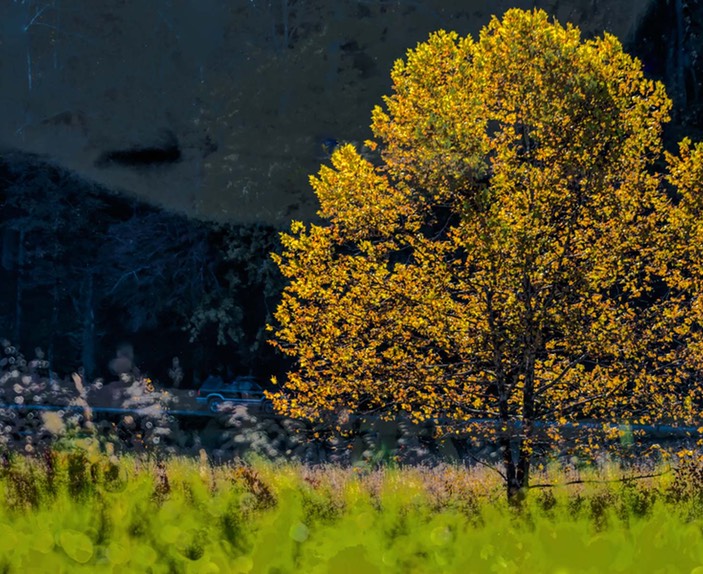 CADES_COVE_9742