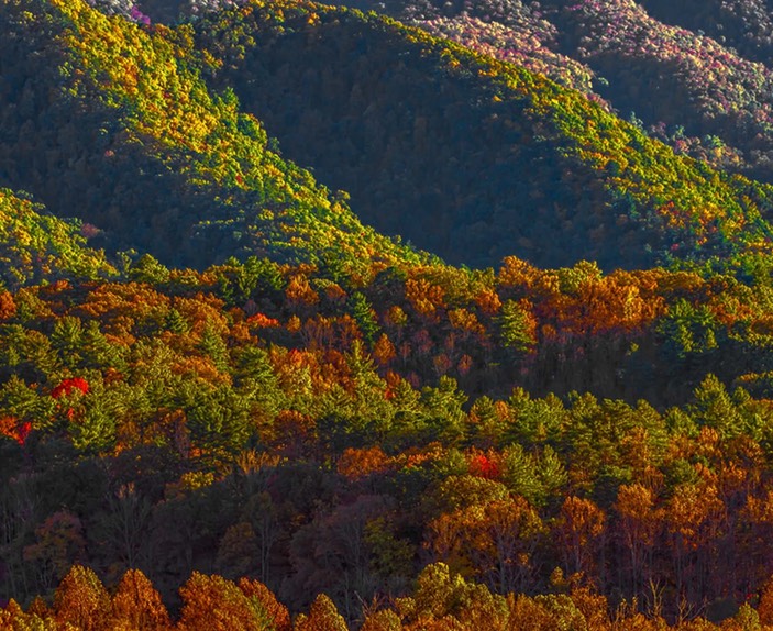 CADES_COVE_9744