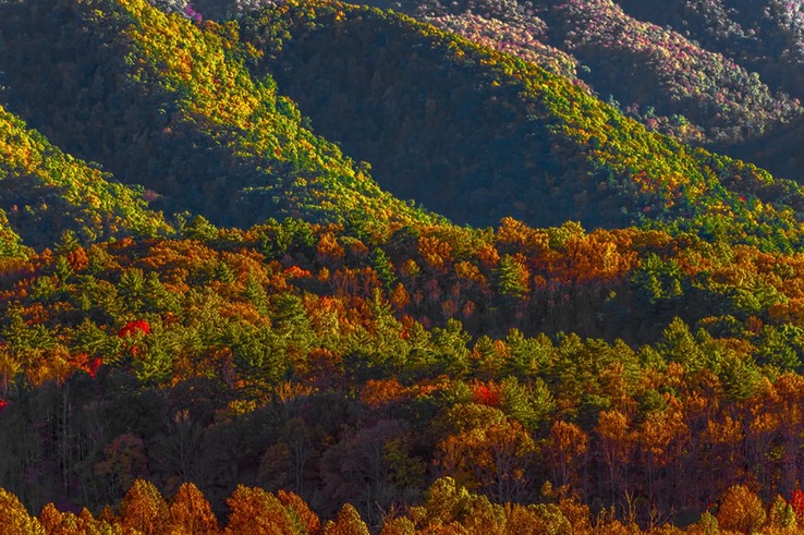 CADES_COVE_9744