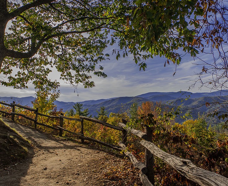 CATALOOCHEE_4318v