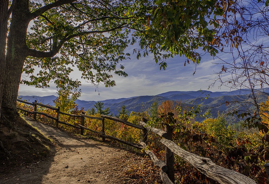 CATALOOCHEE_4318v