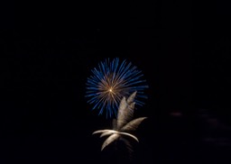 FIREWORKS_7471re