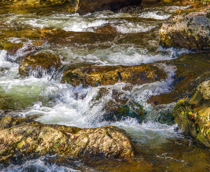 GREAT_SMOKEY_MOUNTAIN_STREAM_9723