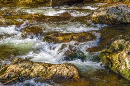 GREAT_SMOKEY_MOUNTAIN_STREAM_9723